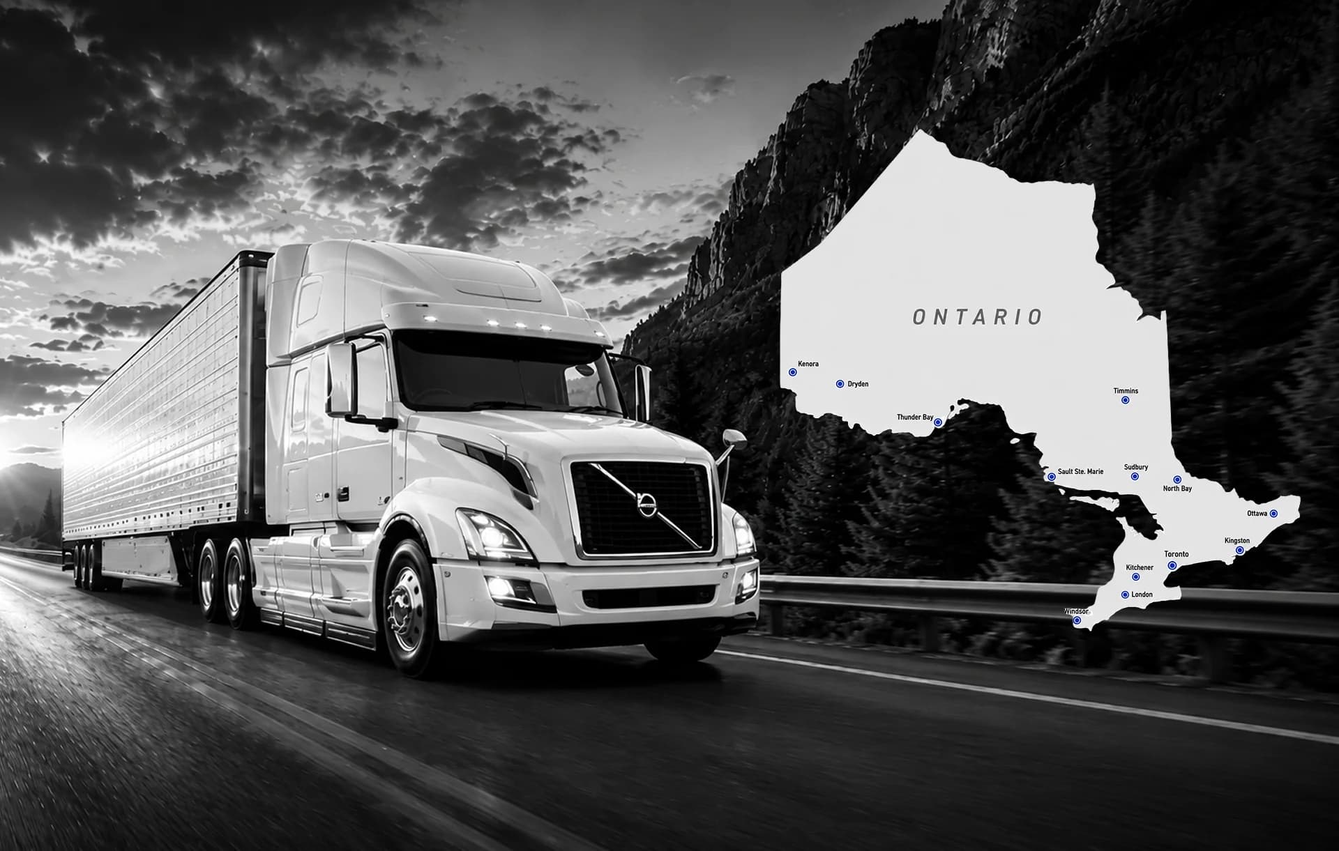 Bosco Transport Fleet